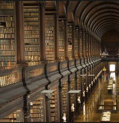 the long room is filled with books and statues