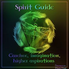 the spirit guide cover shows a green dragonfly with feathers in its wings and words below it