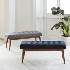 two benches sitting next to each other in front of a potted plant on the floor