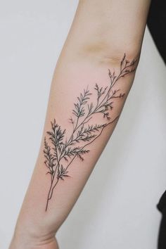 A delicate fern tattoo on a person's forearm. Fine Line Tattoos Women, Fine Line Vine Arm Tattoo, Simple Flower Tattoo, Anatomical Heart Tattoo