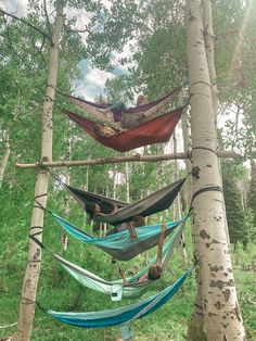 several hammocks hanging from trees in the woods