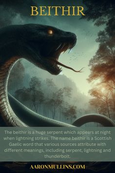 a book cover with an image of a snake in the background