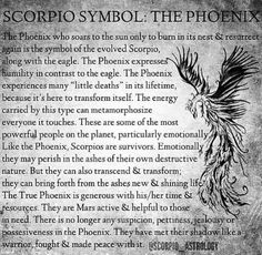 an image of a bird on the page of a texting app that reads scorpio syboli the phoenix