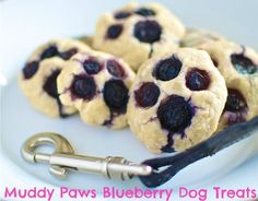 blueberry dog treats on a white plate