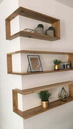 three wooden shelves on the wall with plants and bookshelves in front of them