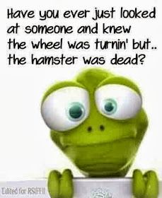 a green frog sitting on top of a table next to a sign that says, have you ever just looked at someone and knew the wheel was turn but the hamster was dead?