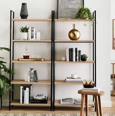 a living room filled with lots of furniture and plants on top of bookshelves