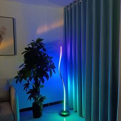 a living room filled with furniture and a tall plant next to a window covered in blue curtains