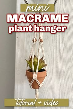 a potted plant hanging on the side of a door with text overlay reading mini macrame plant hanger