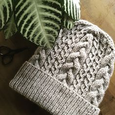 two knitted hats sitting on top of a wooden floor next to a green plant