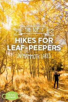 the top 3 hikes for leaf - repers in mammoth lakes