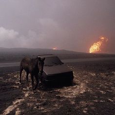 a horse standing next to a car in the middle of a field with flames behind it