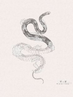 a black and white drawing of a snake