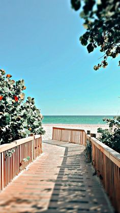 a wooden walkway leading to the beach with trees on either side and water in the background