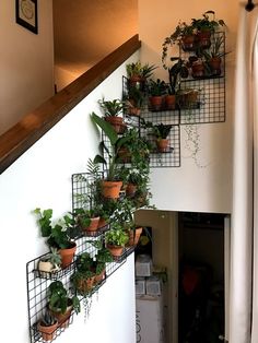 some plants are growing on the side of a stair case that is attached to a wall