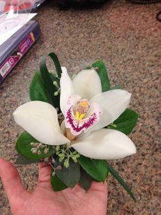 a hand holding a white flower with green leaves