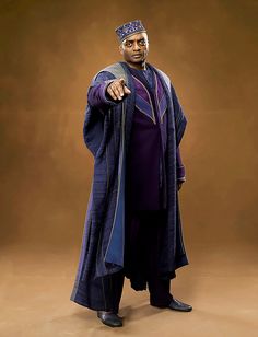 Harry Potter And The Order Of The Phoenix: Portraits (2007) Bertha Jorkins, Aquaman Injustice, Harry Potter Museum, Kingsley Shacklebolt, Harry Potter Day, Walburga Black, Harry Potter Wizard, Harry Potter Pin