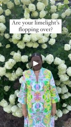 a woman standing in front of flowers with the caption are you limelight's hopping over?