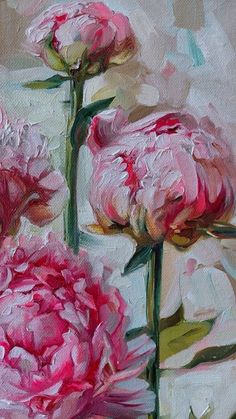 two pink peonies on a white background