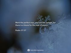 a snowflake with the words mark the perfect man, and see the upright for there is a future for the man of peace