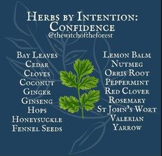 herbs by intention poster on blue background with white lettering and green leafy plant names