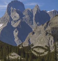 the mountains are covered with snow and pine trees in the foreground is a winding road