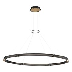 a circular light fixture with two lights hanging from it's center and the bottom