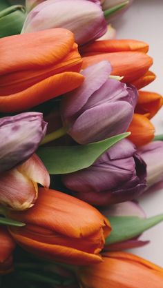 purple and orange tulips are arranged on a white surface