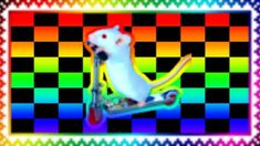 a white rat is riding on a colorful scooter in front of a checkered background