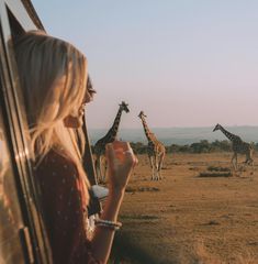 a woman looking out the window at giraffes in an open field,