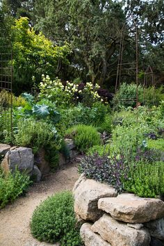 a garden filled with lots of different types of flowers and plants next to large rocks