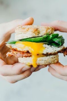 a person holding a sandwich in their hands with cheese on the top and bacon on the bottom