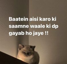 a cat sitting on top of a wooden shelf next to a wall with words written below it