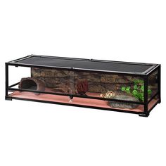 an aquarium with rocks, plants and other things in the bottom shelf for display on a white background