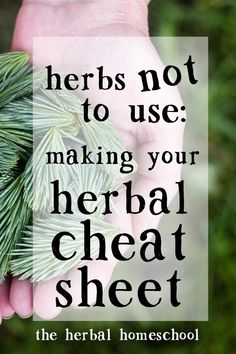 Medicinal Herbs Garden, Herbal Recipes, Herbal Tinctures, Herbal Apothecary, Natural Healing Remedies, Herbal Healing, Herbal Magic, Herbs For Health, Healing Herbs