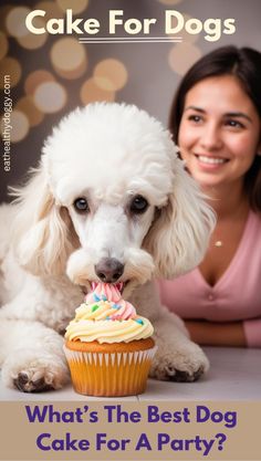 a woman and her dog with a cupcake in front of them that says, what's the best dog cake for a party?