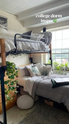 a bedroom with bunk beds and plants in the window sill, along with other furniture