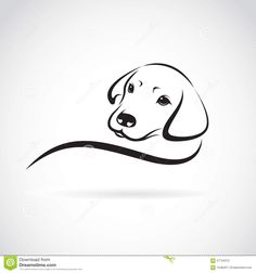 a dog head on white background