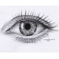 a pencil drawing of an eye