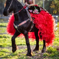 Beautiful Red & Black Velvet Dress With Gold Horse Buttons , 2 Piece With Corset . All Embroidered With Handmade Stitching . Style Number:Sy2099 Fabric: Velvet And Organza Silhouette: Ball Gown Hemline/Train: Floor Length Embellishment:3d Floral Flowers ,Lace And Applique , Gold Buttons,Ruffles , Beads,Pleated, Ruched Sleeve Length: Sleeveless Back Details: Lace Up Back Style: Super/Dramatic 2 Petticoat Included Wore Only 1 Time , Very New !!! Size 25 /26 Waist Bust 32-34 Red Charro Dress, Charro Dress, Quinceanera Red, Gold Horse, Ruched Sleeve, Black Velvet Dress, Black Horse, Gold Buttons, Velvet Dress