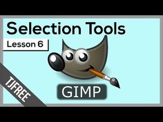 a video game with the title'selection tools lesson 6 gimp for beginners