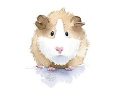 a watercolor painting of a brown and white hamster