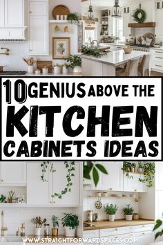 the kitchen cabinets are all white and have plants growing on them in black letters that read 10 geniuses above the kitchen cabinets