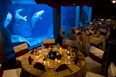 a large aquarium is in the background with tables set up for dinner