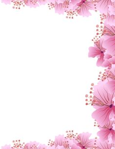 pink flowers on a white background with space in the middle for text or image to be added