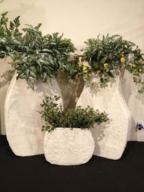 three white vases with green plants in them