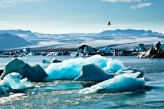 icebergs floating in the water with mountains in the background