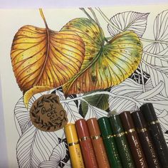 an image of some colored pencils on a paper with leaves and flowers in the background