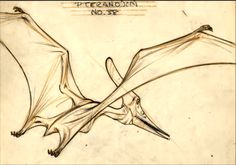 a drawing of a bat flying through the air