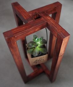 a small potted plant in a wooden frame on the floor with a grey background